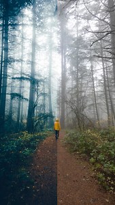 how to make your photos look like DARK! 🕰️📸 . . . (disclaimer: this is simply a guideline for your edits, and results may change depending on your photo!) . . . #dark #darkseries #netflix #darknetflix #lexiexu #lexsychopaths #darknetflixseries #jonaskahnwald #marthanielsen #winden #lightroom #lightroompresets #fyp | Ayitsphotography