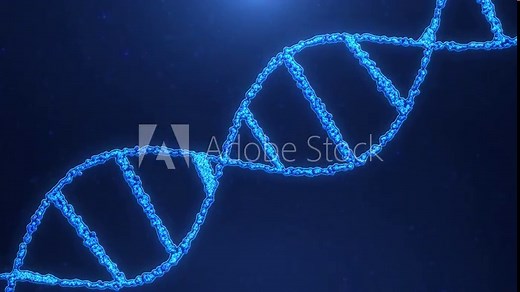 Abstract animated DNA molecule from particles. Concept animation of digital DNA, human genome.Genetic engineering, medical research,biology. Seamless loop background animation of rotating DNA strands