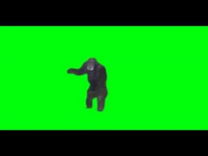 Monkey banging on door green screen