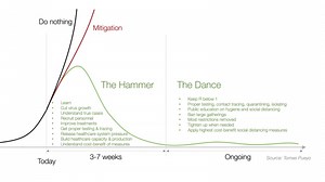 SF author's viral 'Hammer and the dance' gives new perspective amid COVID-19 pandemic