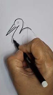 How to draw a stork| easy for beginners #drawing #birds #stork #wildlife #sketch