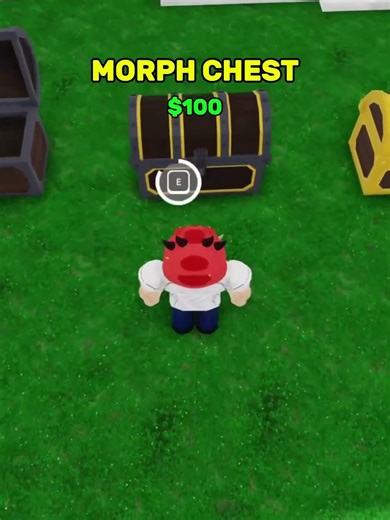 All Morph Chests