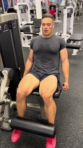 Seated Leg Extensions