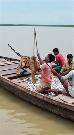 On Camera Recording Fisherman Sundarban Boat!🐯