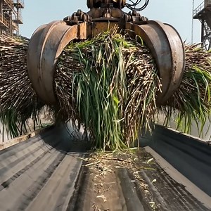 159K views · 1.3K reactions | How Sugar Is Made From Sugarcane | Full Factory Process (A–Z) | AI Buzz | Facebook