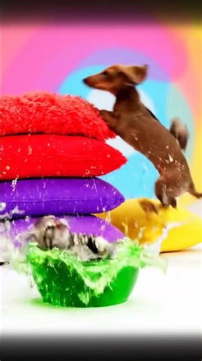 Baby Animals Try to Dance… HILARIOUS Results! 🐶🐱🦆🤣”“