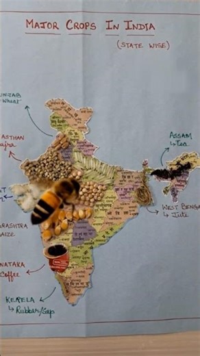 MAJOR CROPS IN INDIA #motivation #studymotivation #crops #exam