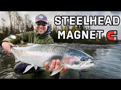 BEST Fly Lines for Steelhead Trout | Pick The Right Line