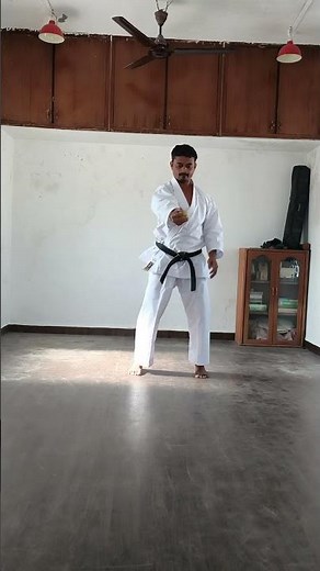 Karate Hand Speed Training: Ball Drill for Hikite. #karate #shotokan #techniques #skills #drills