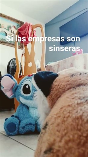 si las empresas fieran sinseraas xd