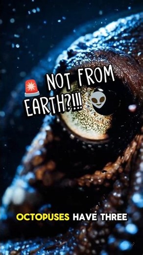 The Alien Theory About Octopuses You Didn’t Know