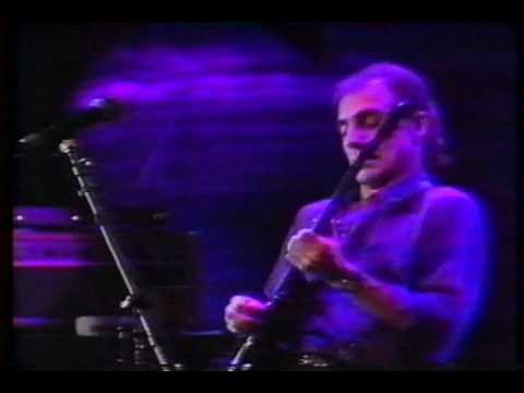 Larry Carlton - Solos (Hill Street Blues / Kid Charlemagne / Don't Take Me Alive / and...)