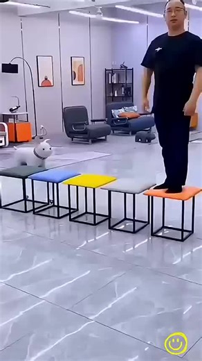 Explore the Magic of Balli Bot Mogis and Smart Tech