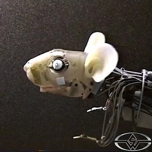 460K views · 19K reactions | In the next few days, we will post 3...