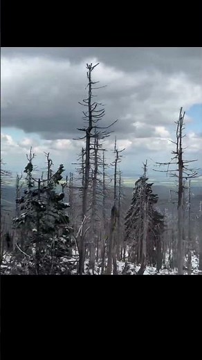 The Witch’s Peak: A Snowy Steam Train Journey to Brocken for Walpurgis Night
