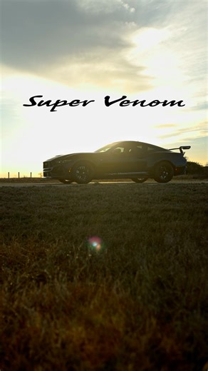 SUPER VENOM 🦅 The last American muscle car your can buy off a dealer’s lot today! Experience the thrill of 850 HP and an optional 6-speed manual. The Super Venom Mustang was built for enthusiasts! https://www.hennesseyperformance.com/vehicles/ #HennesseyPerformance #Ford #FordMustang #MustangGT #mustangGTD #darkHorse #SuperVenom #Mustang #V8 #Supercharged #Pennzoil #LongMayWeDrive #MustangFamily Ford Motor Company | Hennessey Performance