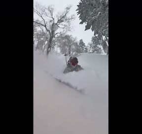 Skier explores deep snow in Hokkaido backcountry