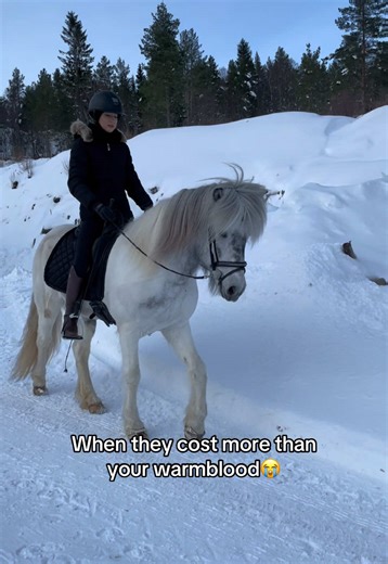 Why Horses Can Be So Expensive Today