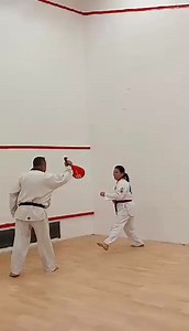 There are five basic kicks in Taekwondo: the front kick, the side kick, the hooking kick, the back kick, and the roundhouse kick. If you can manage these five kicks, you'll have a great foundation to explore other advanced kicks. #everyone #taekwondo #highlights #highlightseveryone | Journey Of Life
