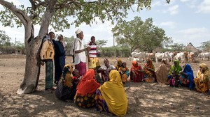 The Programme for Legal Aid and Delivery in Kenya (PLEAD)