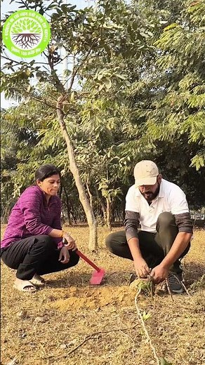 Green Birthday Gifts #mission100crore #birthdaytree #birthdaytree #birthday