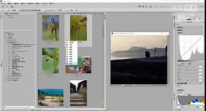 02、尼康Capture NX2 修图软件 照片管理方法