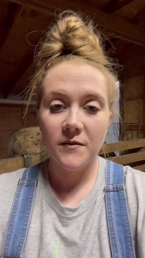 Have a weak chick and don’t have any save-a-chick? I’ve got you! I honestly think this works better than save-a-chick anyways. 🙌🏻🐣 #crazychickenladiesofinstagram #chickcare #agricultureandfarming #hatchday #babychicks #flock #hatchingeggs #babychickens #healthychickens #chicken #chickens #chickenmama #poultry #poultryfarming #poultryofinstagram #PoultryIndustry #birds | Hannah Easton