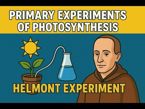Helmont Experiment 🔬 | Quick Revision | Photosynthesis | Class 10 Biology