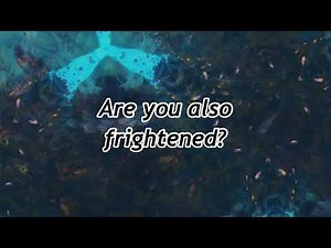 Animal Collective - Also Frightened (Lyric Video)