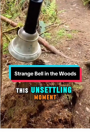 Strange Bell Found in Appalachian Woods: What Happens Next?