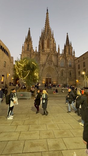 Cathedral of Barcelona.. Spain 🇪🇸 #cathedral #barcelona #spain #spain🇪🇸 | Travel life