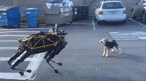 Alex The Dog Picks A Fight With Boston Dynamics' Robot Dog