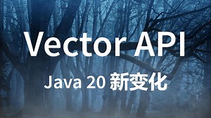 【Java 20 新变化】Vector API 的第 5 个孵化版本
