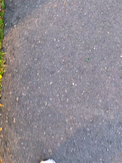 Tess... Masih error edge nya...