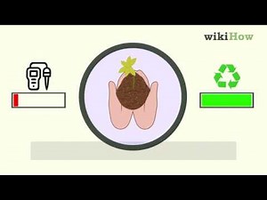 How to Grow Cranberries