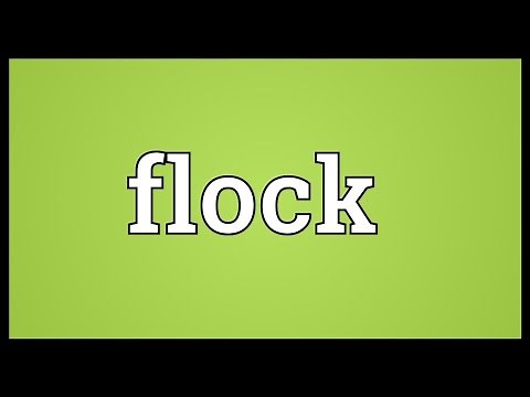 Flock Meaning