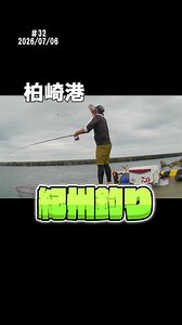 柏崎港で紀州釣り｜チヌを狙う仕掛けと当日の攻略