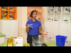 Disappearing Objects & Refractive Index | At Home Science Experiment | Scitech WA
