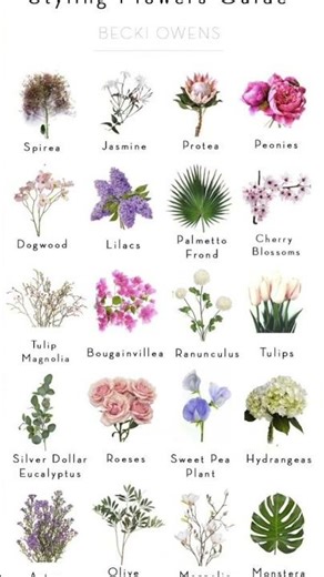 types of flowers