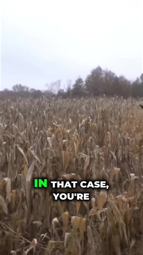 Mastering Deer Hunting: Secret Travel Corridors