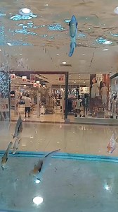 Special Offer 2pcs 10bd | Golden FISH Store