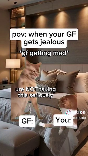 Understanding Jealousy in Cats: A Funny POV