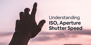 Understanding ISO, Shutter Speed, and Aperture - Animotica Blog