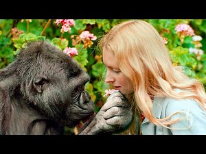 Girl Lives Alone in Jungle and Falls in Love with a Gorilla