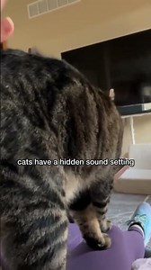 Click the glitch button for a crispy meow!