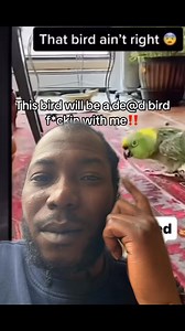 This means this bird is posessed! | My thoughts on everything