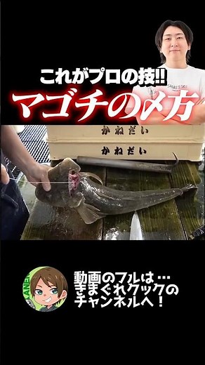 I'll teach you the secret of how to prepare a flathead fish, something I honestly don't want to s...