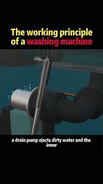 The working principle of a washing machine
