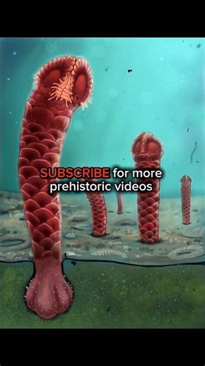 4 Living Fossils Older Than Dinosaurs Still Alive Today