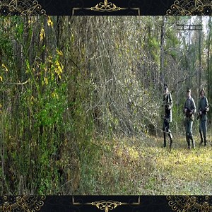 Action Movie 2023 | The Collection - film